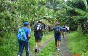 Superbe journée dans la forêt de Bois Blanc