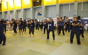 Journée des Arts Martiaux &amp; Sports de Combats