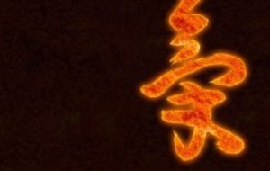 Reprise des Entrainements