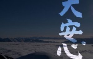 Journée des Sports organisée par l'OMS