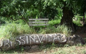 DSC02521 [640x480].JPG