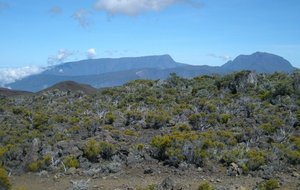 volcan nov 11 008 [640x480].JPG