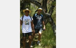 volcan nov 11 024 [640x480].JPG