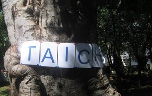 divers 2011 054 [640x480].JPG