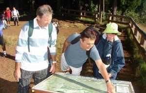 DSC02891 [640x480].JPG