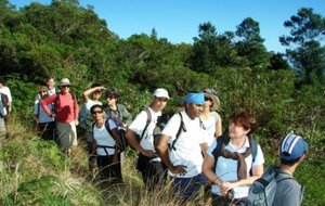 DSC02894 [640x480].JPG