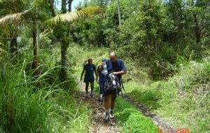 Marche Bois Blanc 003 [640x480].jpg