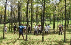 rando bois blanc ste rose. novembre 2009 024 [640x