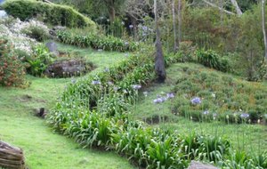 IMG_1616 [640x480].jpg