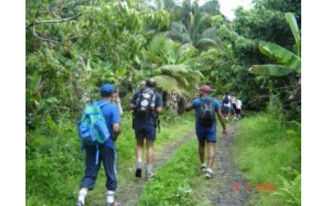 Superbe journée dans la forêt de Bois Blanc
