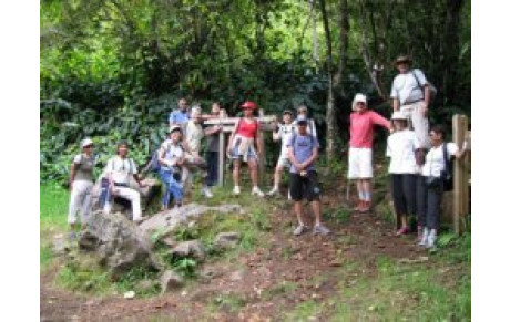 Marche du 21 novembre 2010