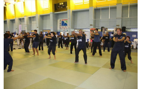 Journée des Arts Martiaux &amp; Sports de Combats