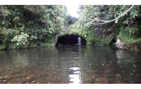 News du club et fin d'année