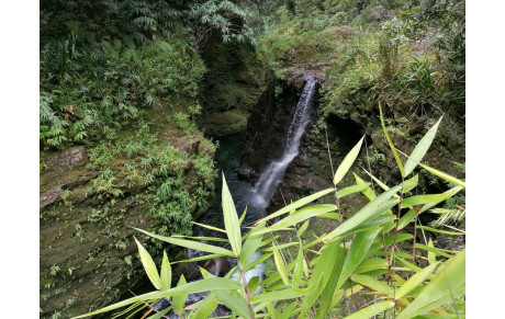 Fin de l'année sportive &amp; arrêt des cours
