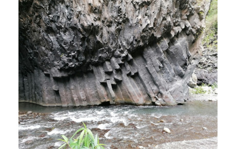 Rentrée sportive &amp; reprise des cours