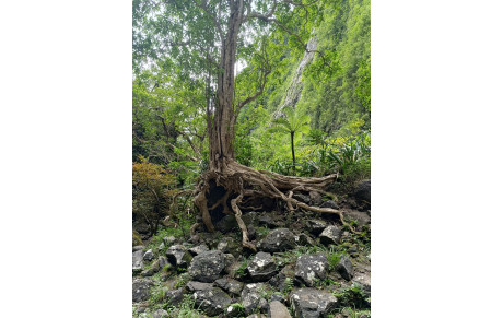 Arrêt des cours - pause hivernale