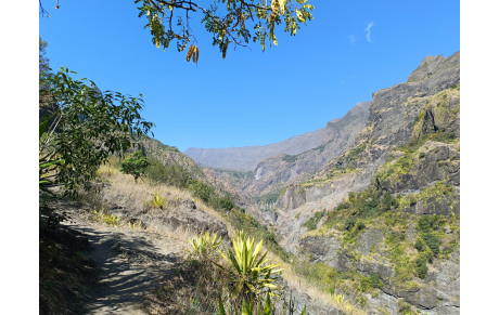 Reprise des cours - rentrée sportive