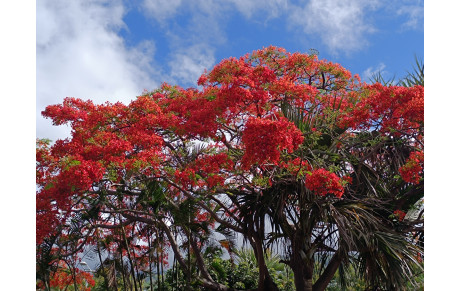 Fin des cours de Tai Chi - pause estivale