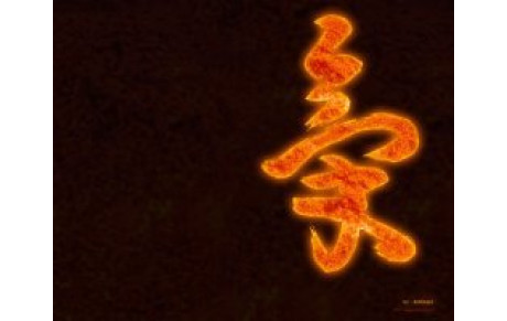 Reprise des Entrainements