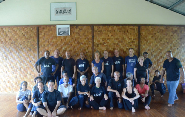 Stage de Tai Chi/Qi Gong